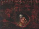 CANNIBAL CORPSE - Torture (reissue) - Vinyl (LP)
