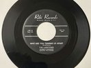 Larktones DOOWOP 45 Why Are You Tearing Us Apart / Nosy Neighbors RIKI VG++ HEAR