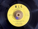 Northern Soul 45 - Quinn Harris - Protect Me From Myself  - M.L.E - EX 1st Funk