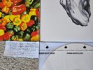 Ween - White Pepper  - Plain Recordings 2009 reissue