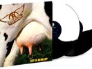 Aerosmith Get A Grip 2XLP Black & White Color Vinyl Geffen 180Gr Tyler Perry New