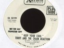 Terry & The Chain Reaction - Keep Your Cool on UA Promo Garage 45