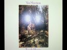 VAN MORRISON - VINYL - Tupelo Honey - perfekt - Polydor - EXILE - LP