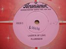 Rare Doo-Wop;  The Flamingos  