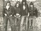 Ramones INSERT NEAR MINT Philips Vinyl LP