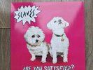 Are You Satisfied? by Slaves (Record, 2015)