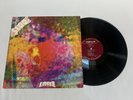 The Litter $100 Rare 1st Pressing Psych Rock Psychedelic Garage Vinyl LP 1968