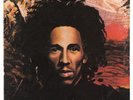 BOB MARLEY & THE WAILERS - Natty Dread - 1974 UK LP