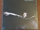 MY BRIGHTEST DIAMOND Bring Me The Workhorse SEALED LP Vinyl St Vincent Kate Bush
