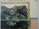 Rock Workshop (Ray Russell) - The very Last Time - 1st Pressing  Vinyl