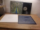 The Bluetones – Expecting To Fly  UK Indie Rock, Britpop LP 1996