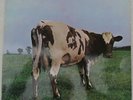 Atom heart mother [Vinyl, LP Nr. SHZE 297]. Floyd, Pink: