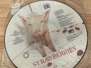 The Damned – Strawberries PICTURE DISC VINYL LP DOJOPD 46 1986
