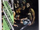 JIMI HENDRIX EXPERIENCE ELECTRIC LADYLAND POLYDOR MPX9955 Japan VINYL LP