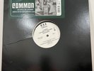 COMMON Like Water For Chocolate INSTRUMENTAL Vinyl Double LP  NM- *LISTEN*