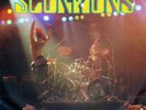 Scorpions - The Zoo (7