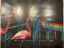 pink floyd the dark side of the moon Demo LP VINYL