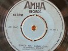 ALEMAYESHU ESHETE - Enkoy Nat Yabay Dar / Yesew Bet Yesew Naw - AFRO ETHIO 45