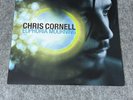 Euphoria Mourning by Cornell, Chris (Record, 2015) Excellent Condition
