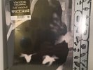 Viktor Vaughn - Vaudeville Villain MF Doom 2021 RSD Get On Down New Sealed