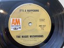 The Magic Mushrooms- Aussie A&M 45  