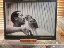 Johnny Dyani Quartet, Song For Biko, 1979 1st Steeplechase Denmark, VG+/VG+