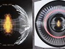 Pearl Jam Dark Matter Zoetrope Blood Records Limited 828/1000 IN HAND