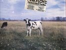 B202 The Screaming Abdabs Dark Side Of Moo Cud-382 Record Vinyl