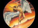 B46 Led Zeppelin Recorded Live In Cleveland April 27 1977 Picture Disc Record