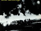 DEAD KENNEDYS - Fresh Fruit For Rotting Vegetables - Vinyl (LP)