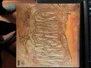 Savoy Brown Blue Matter  Bluesrock von 1969