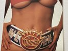 Ween – Chocolate And Cheese 2016 Plain 141 2xlps Brown Cocoa-Yellow Vinyl VG+