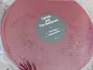 Catfish and The Bottlemen - Tortuga & Sidewinder 12” Red Vinyl - Very Rare 2012