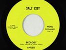 70s Soul Jazz/Funk 45 - Anubis - Ecology - Salt City - VG++ rare
