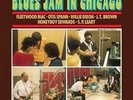 Blues Jam In Chicago Volume Two (Various Artists) [VINYL] [Vinyl] Various Artist