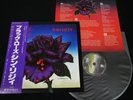 THIN LIZZY - BLACK ROSE A ROCK LEGEND JAPAN 1st pressing VINYL LP OBI RJ-7587