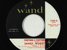 Northern Soul 45 - Sandy Waddy - Everything Is Everything - Wand VG+