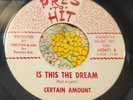 Garage Psych Fuzz 45 Certain Amount Is This The Dream / No Reply VG+ HEAR