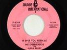 Northern Soul 45 - Sheepherders - If Ever You Need Me - Sounds Int'l