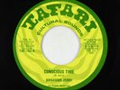 Roots Reggae 45 - Brigadier Jerry - Conscious Time - Tafari Cultural Sounds VG+