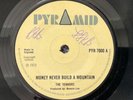 THE TENNORS - MY WORLD / MONEY NEVER BUILD rare UK 1973 / SKA REGGAE / VG+