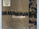 BRAND NUBIAN - FOUNDATION (VINYL 2LP)  1998   RARE   COMMON + DJ PREMIER