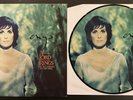 Enya May It Be Picture Disc Lord of the Rings