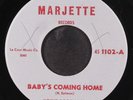 HOUND DOG TAYLOR: baby's coming home / five, take five MARJETTE 7