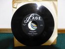 LONNIE BARRON TEENAGE QUEEN & PLEASE BLUE HEART ROCKABILLY MICHIGAN  VG+ 45