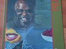 FREDDIE KING Woman Across the River LP JAPAN 1973 with Insert SHELTER BT-5361