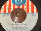 1960’s Garage Mod 45 - The Cherry Slush - I Cannot Stop You - U.S.A. Records