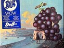 SEALED Mint 2FOR1 PROMO LP Moby Grape WOW/GRAPE JAM Hype Sticker MIKE BLOOMFIELD