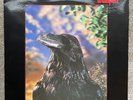 The Stranglers vinyl Album The Raven 3D Cover UAG 30262 1979 First Pressing
