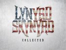 Lynyrd Skynyrd Collected (Vinyl) 12